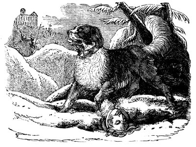 Dog from the Hospice of St Bernard Finding a Traveller in the Snow by Unbekannt