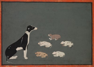 Dog with Pups by Unbekannt