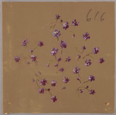 Drawing, from Saint Germain - Volumes 1 & 2 by Unbekannt