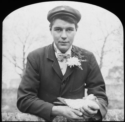 E Hack holding a pigeon, late 19th or early 20th century by Unbekannt
