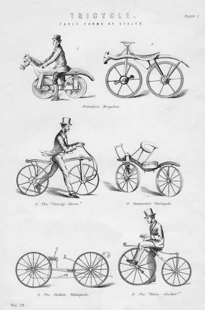 Early Forms of Cycles by Unbekannt