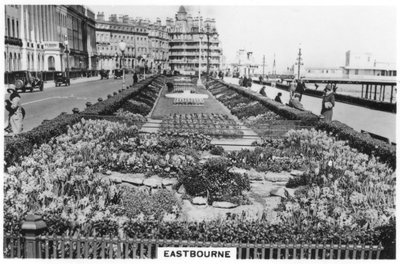 Eastbourne by Unbekannt