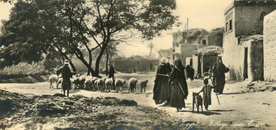 Egypt - Village near Cairo, c1918-c1939 by Unbekannt