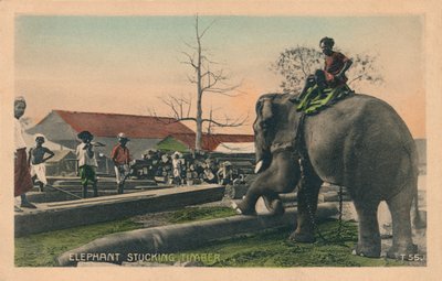 Elephant Stucking Timber by Unbekannt