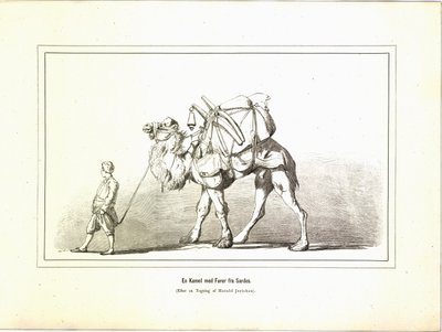 A Camel with Guide from Sardis. Illustration from the book Brogede Rejsebilleder by Elisabeth Jerichau-Baumann, published by Forlagsbureauet (Copenhagen, 1881) by Unbekannt