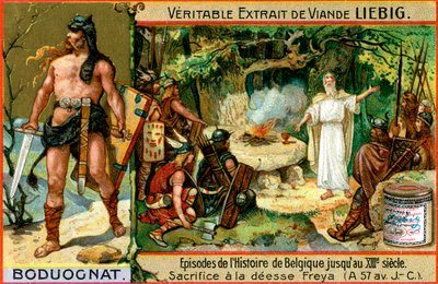 Episodes in the history of Belgium up until the 13th century: Boduognatus by Unbekannt