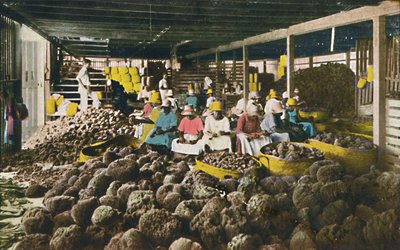 Esfakis - Sponge Packing House - Nassau, Bahamas by Unbekannt