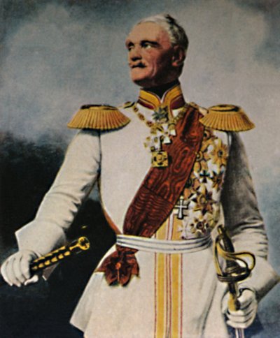 Field Marshal Wrangel by Unbekannt