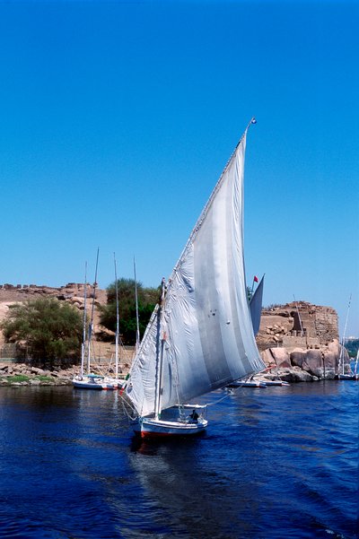 Feluccas on the Nile, Elephantine Island near Aswan, Modern Egypt by Unbekannt