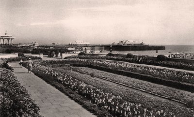 Floral gardens and the West Pier, Brighton, Sussex by Unbekannt