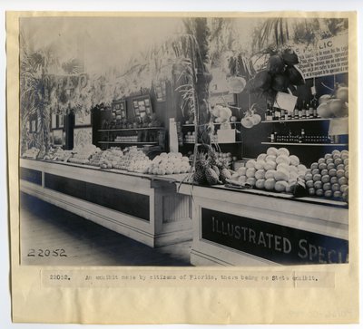 Florida horticulture exhibit in the Palace of Horticulture at the 1904 World