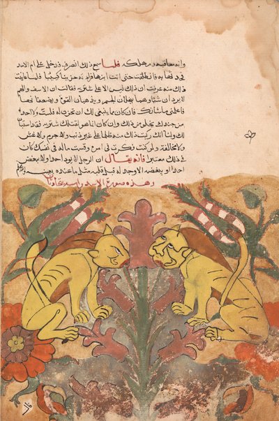 Folio from a Kalila wa Dimna, 18th century by Unbekannt