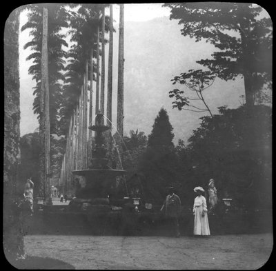 Fountain of the Muses, Rio de Janeiro Botanical Garden, Brazil, Late 19th or Early 20th Century by Unbekannt