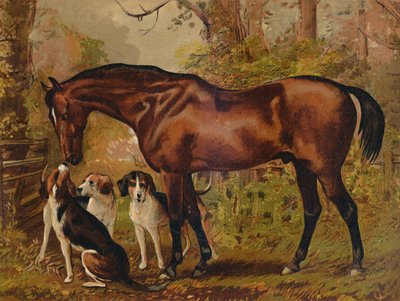 Freemason - Favorite Hunter of the Late Hugo Meynell Ingram Esq., c1879 by Unbekannt
