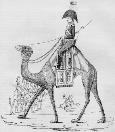 French Domedary Regiment. Captured with a Convoy in the Libyan Desert, May, 1801 by Unbekannt
