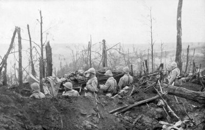 French Soldiers Overlooking German Positions, Battle of Malmaison, 1917 by Unbekannt