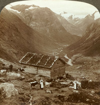 From the Mountain Inn at Vidde Saeter Down the Vidde Valley - Mt. Skaala in Right Distance, c1905 by Unbekannt