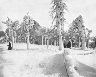 Frost Work in Prospect Park, Niagara, USA, c1900 by Unbekannt