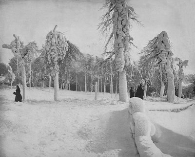 Frost Work in Prospect Park, Niagara by Unbekannt