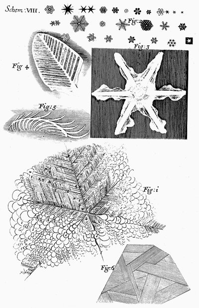 Frozen Materials Viewed by English Microscopist Robert Hooke by Unbekannt