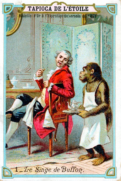 George-Louis Leclerc, Comte de Buffon, 18th Century French Naturalist by Unbekannt