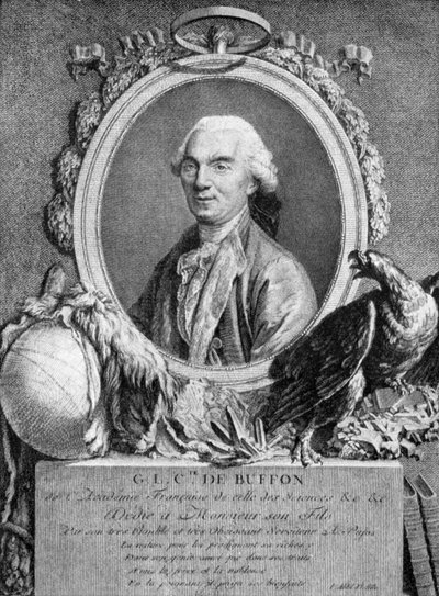 Georges-Louis Leclerc, Comte de Buffon, French naturalist by Unbekannt