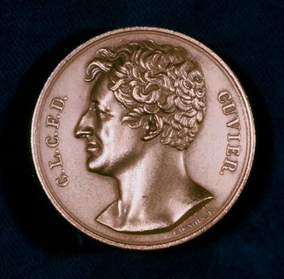 Georges Leopold Chretien Frederic Dagobert, Baron Cuvier, French Anatomist by Unbekannt