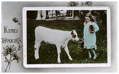 Girl About to Milk a Cow, Greetings Card, c. 1890-1910 by Unbekannt