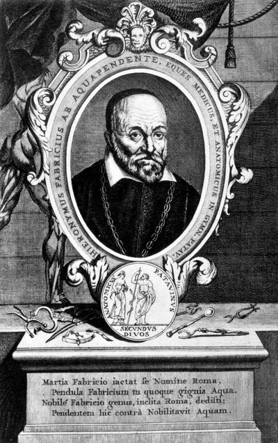 Girolamo Fabrici, Italian anatomist and surgeon, 17th century by Unbekannt