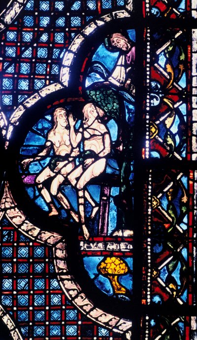 God confronts Adam and Eve, stained glass, Chartres Cathedral, France by Unbekannt