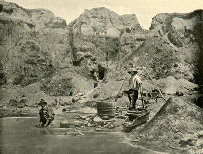 Gold Diggers at Work near Beechworth, Victoria by Unbekannt