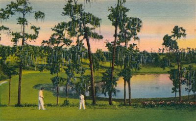 Golfing, a Year Round Sport in Florida by Unbekannt