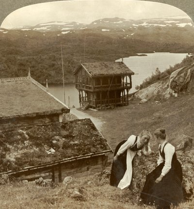 Gossip at a Wayside Inn at Botten, Overlooking the Voxli Lake - View Toward Haukeli Mts., Norway by Unbekannt