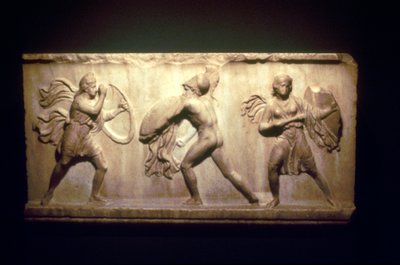 Greek Warrior Fighting an Amazon by Unbekannt