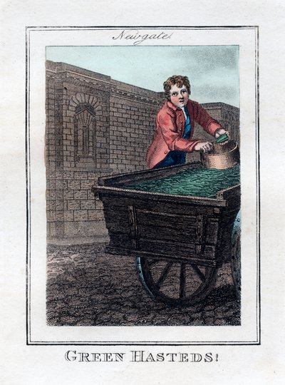 Green Hasteds, Newgate, London, 1805 by Unbekannt