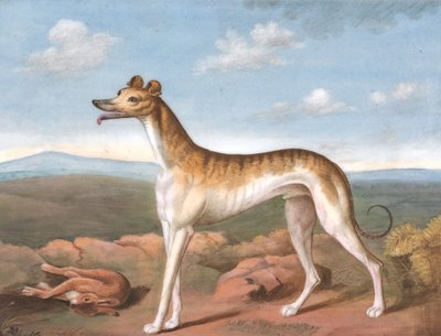 Greyhound: Facing Left, with a Dead Hare at His Feet, ca. 1805 by Unbekannt