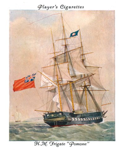 H.M. Frigate Pomone, 1936 by Unbekannt