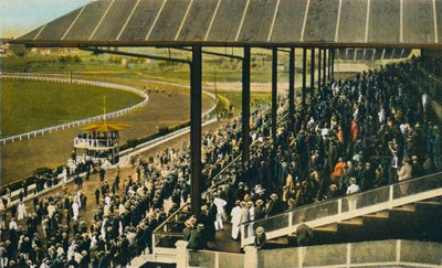Habana, Race Track at Marianao by Unbekannt