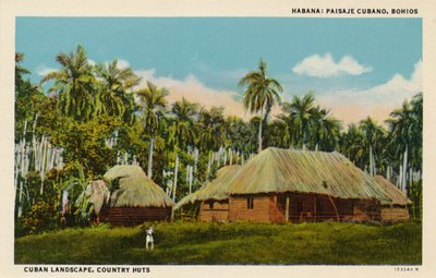 Cuban Landscape, Country Huts, c1910 by Unbekannt