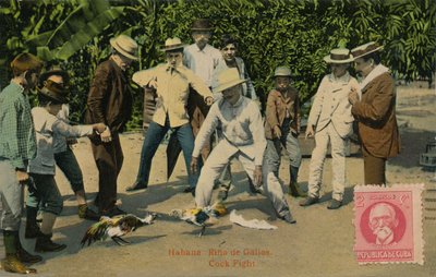 Habana: Rina de Gallos. Cock Fight, 1918 by Unbekannt