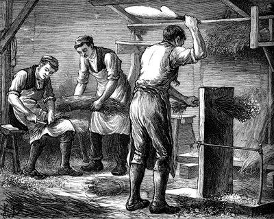 Hand-scutchers at work, c1880 by Unbekannt