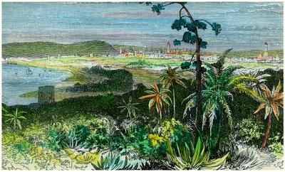 Havana, Cuba, c1880 by Unbekannt