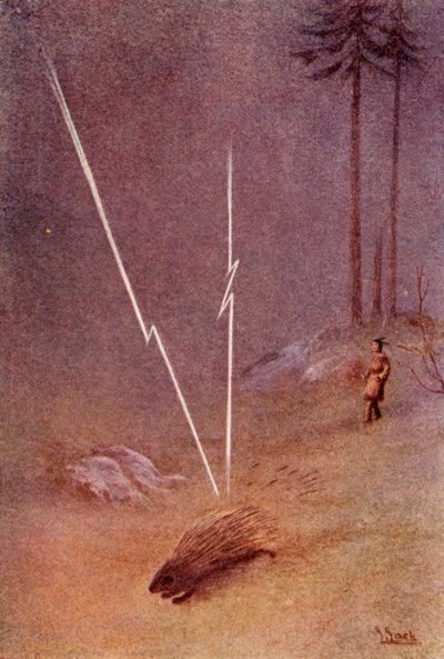 He Suddenly Assumed the Shape of a Gigantic Porcupine by Unbekannt