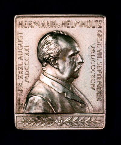 Hermann Ludwig Ferdinand von Helmholtz by Unbekannt