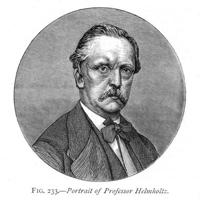 Hermann von Helmholtz, German Physicist and Physiologist, 1876 by Unbekannt