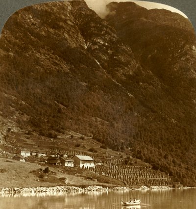 Hogrending Farm, Nestling at the Mountain