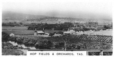 Hop Fields and Orchards, Tasmania, Australia by Unbekannt