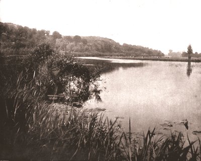 Hurley Reach, River Thames between Bisham and Medmenham, Buckinghamshire, 1894 by Unbekannt