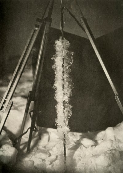 Ice Crystals Formed on the Line of a Fish Trap by Unbekannt