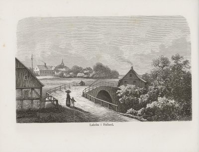 Illustration from the Book Nordiska Taflor by Unknown Author and Published by Albert Bonnier by Unbekannt